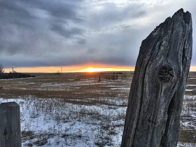 Winter sunset over prairie farmland with old fence post